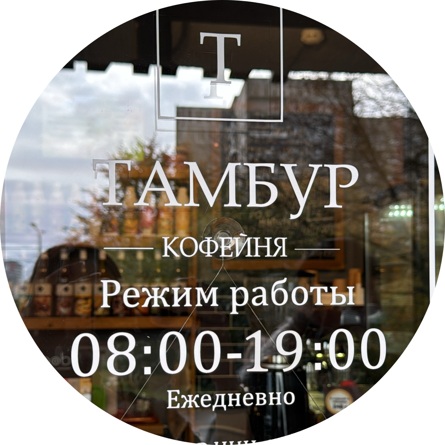 Цурган Алёна Владимировна