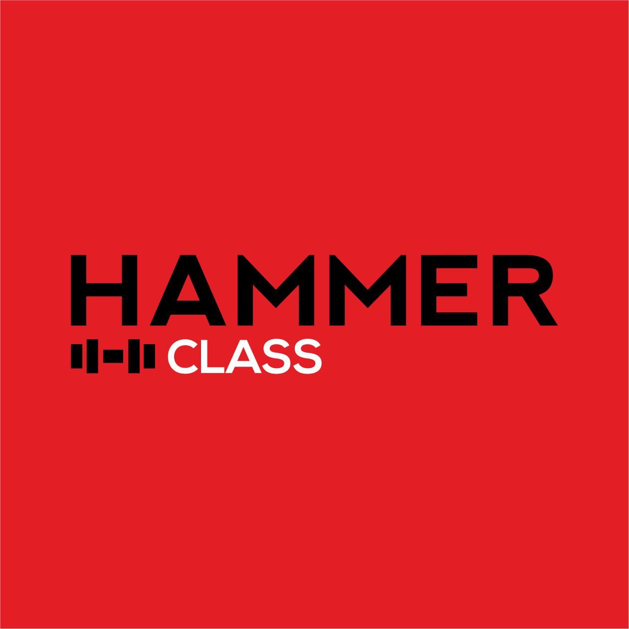 Hammer class