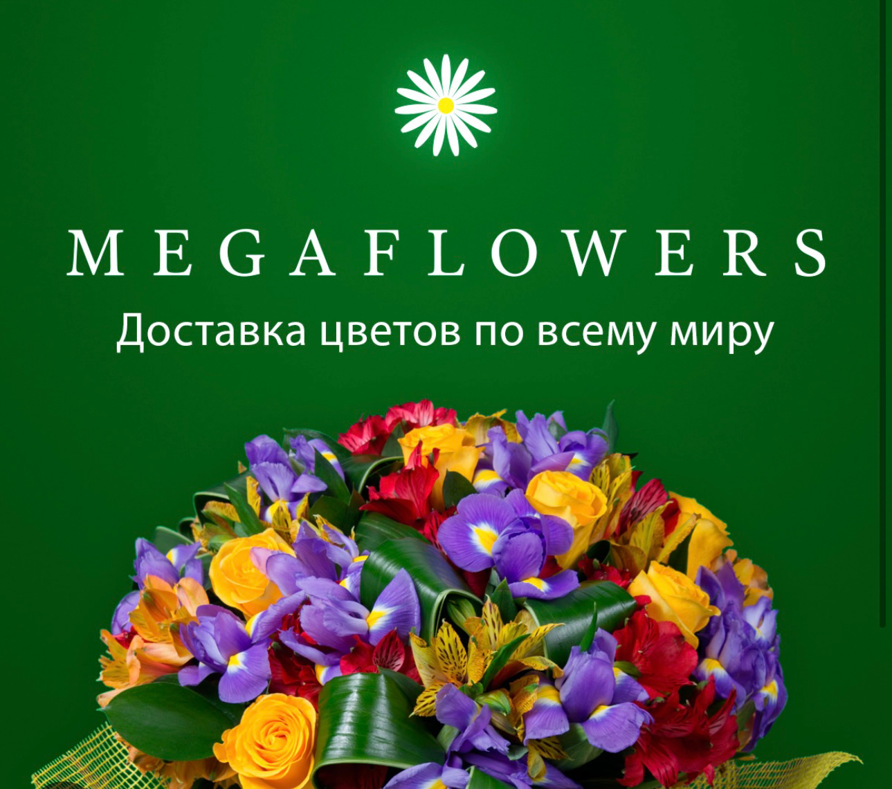 Виневцева Ирина Александровна