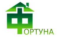 Фортуна