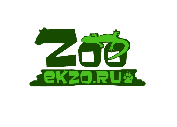 Zoo collection
