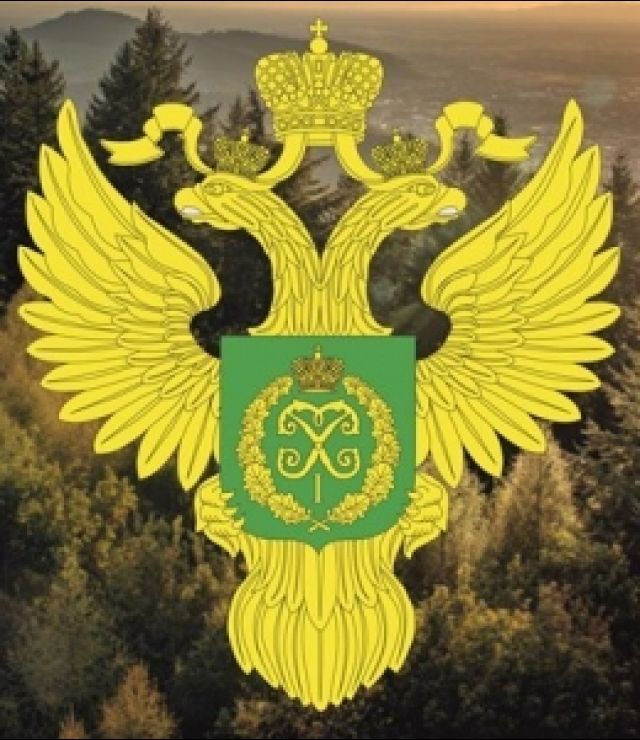 Департамент лесного хозяйства по ЮФО