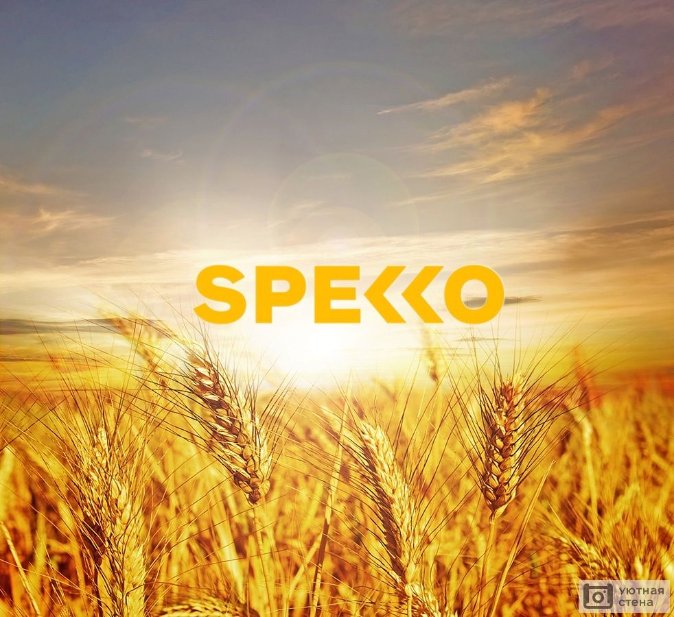 Спекко