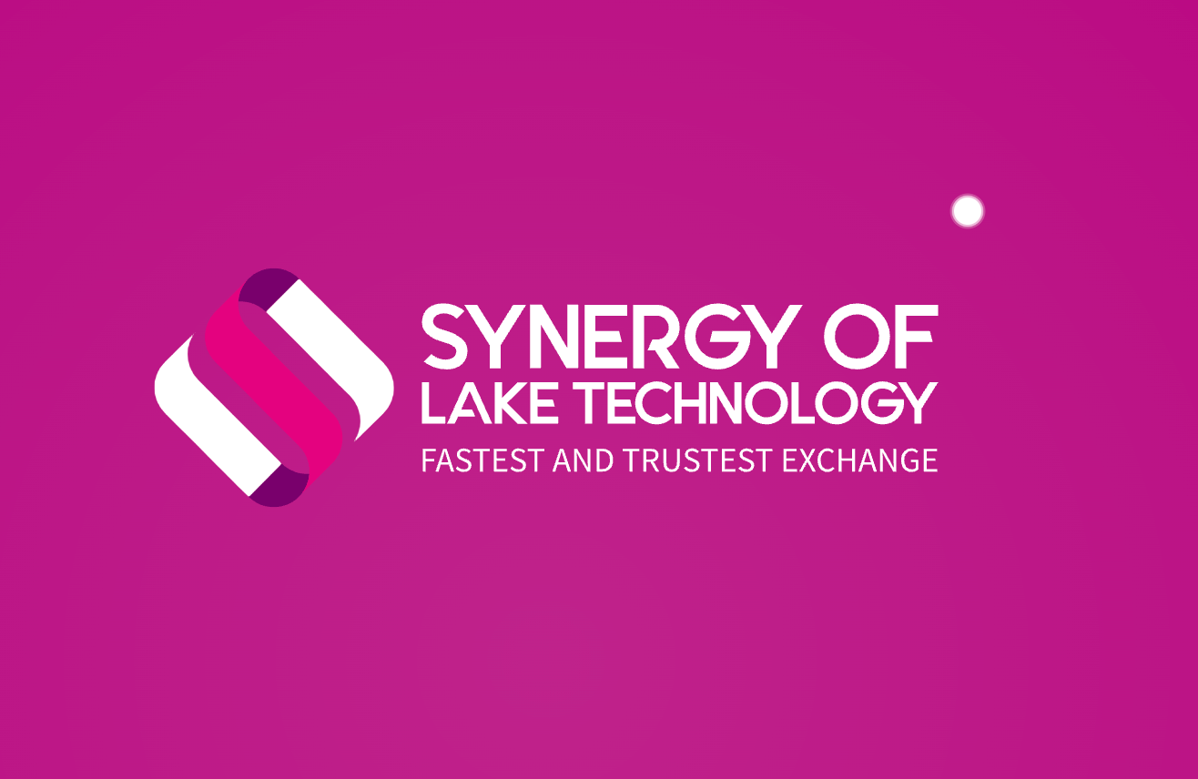 Synergy of Lake Technology