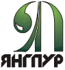 Нефтяная компания Янгпур