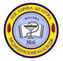 Государственное бюджетное профессиональное образовательное учреждение Медицинский колледж №6