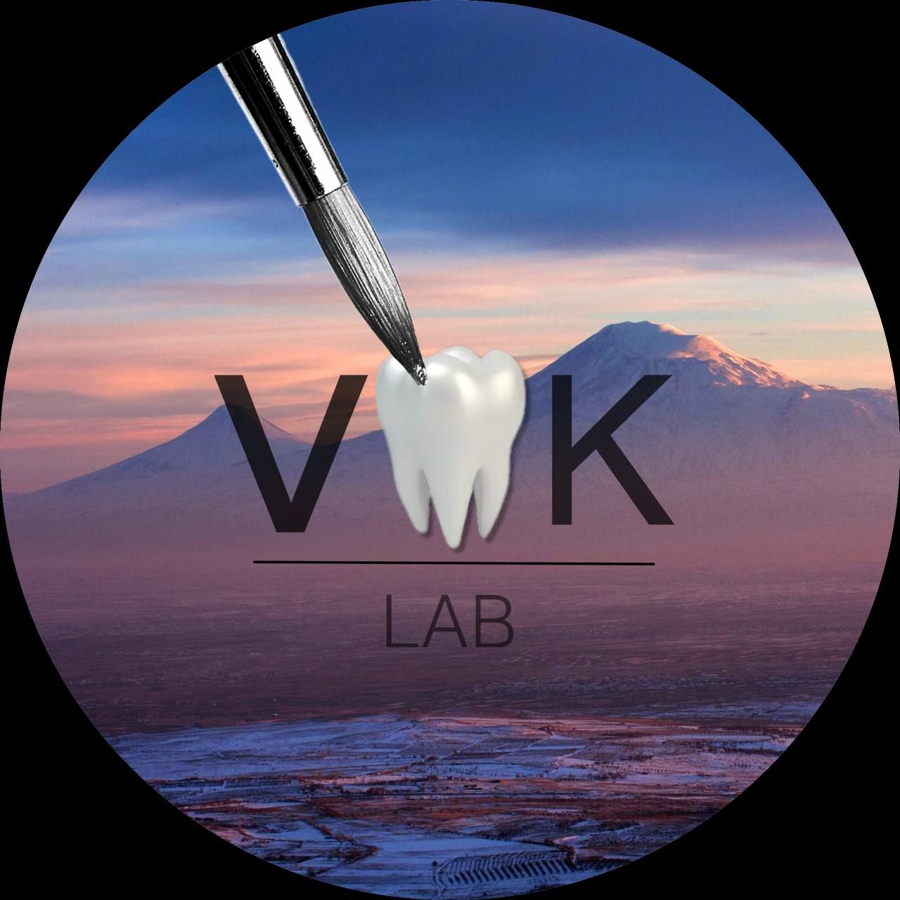 VK LAB (ИП Князян Вагаршак Каджикович)