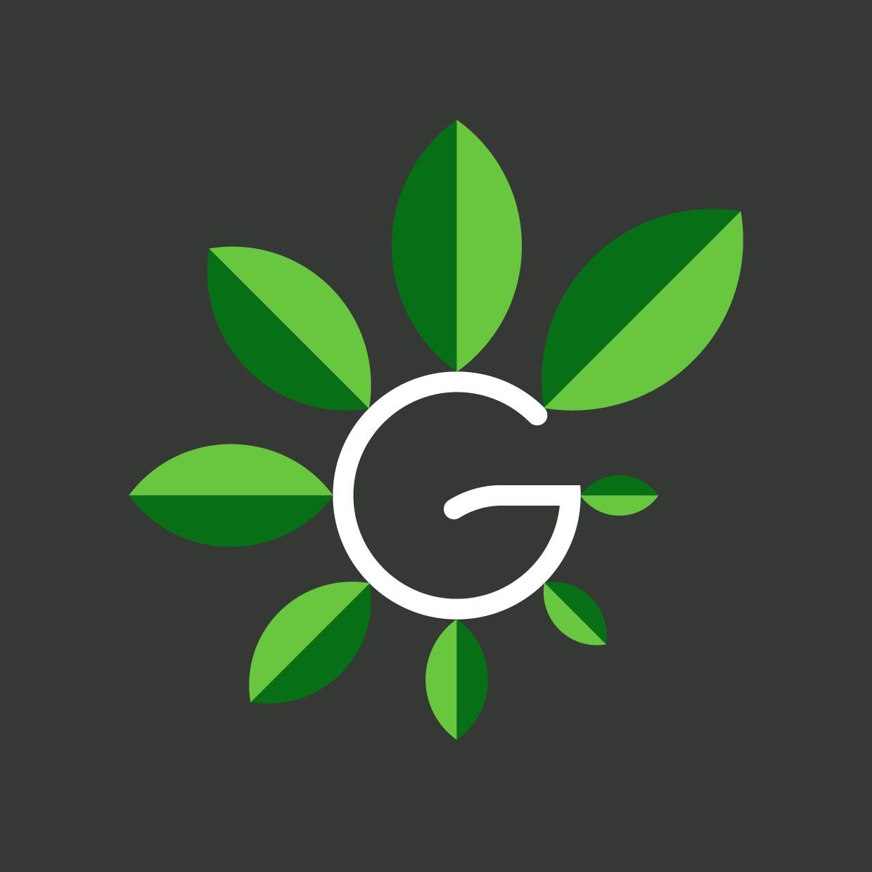 Green Fitness Club (ИП Миронова Елена Борисовна)