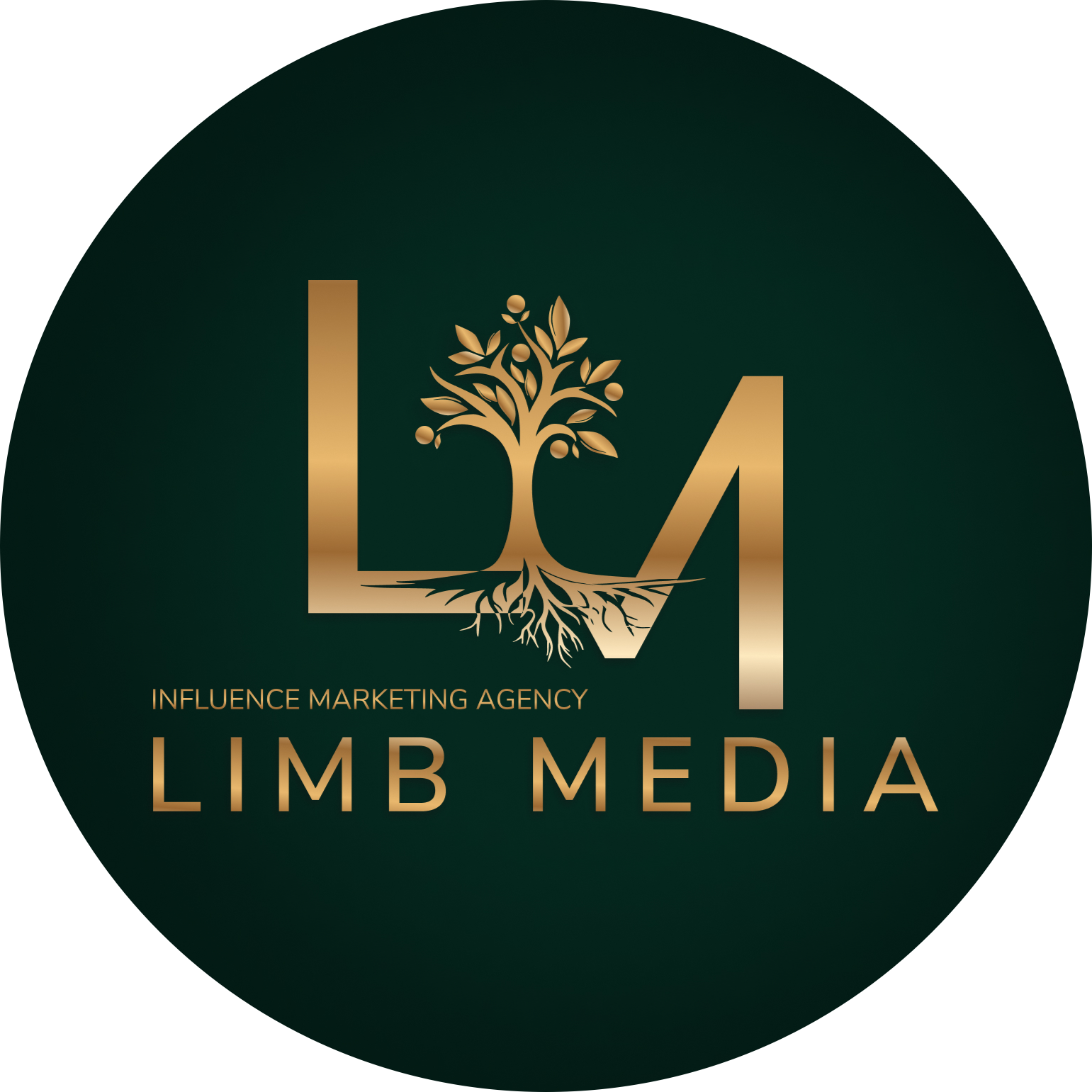 Limb media
