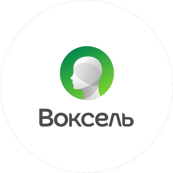 Воксель48