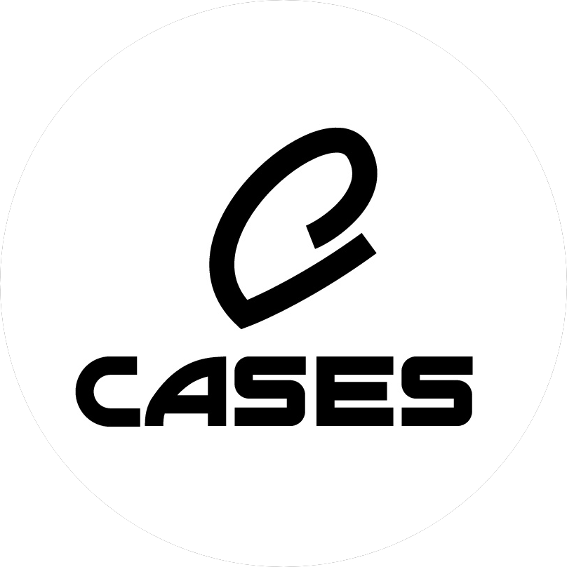 CEO CASES