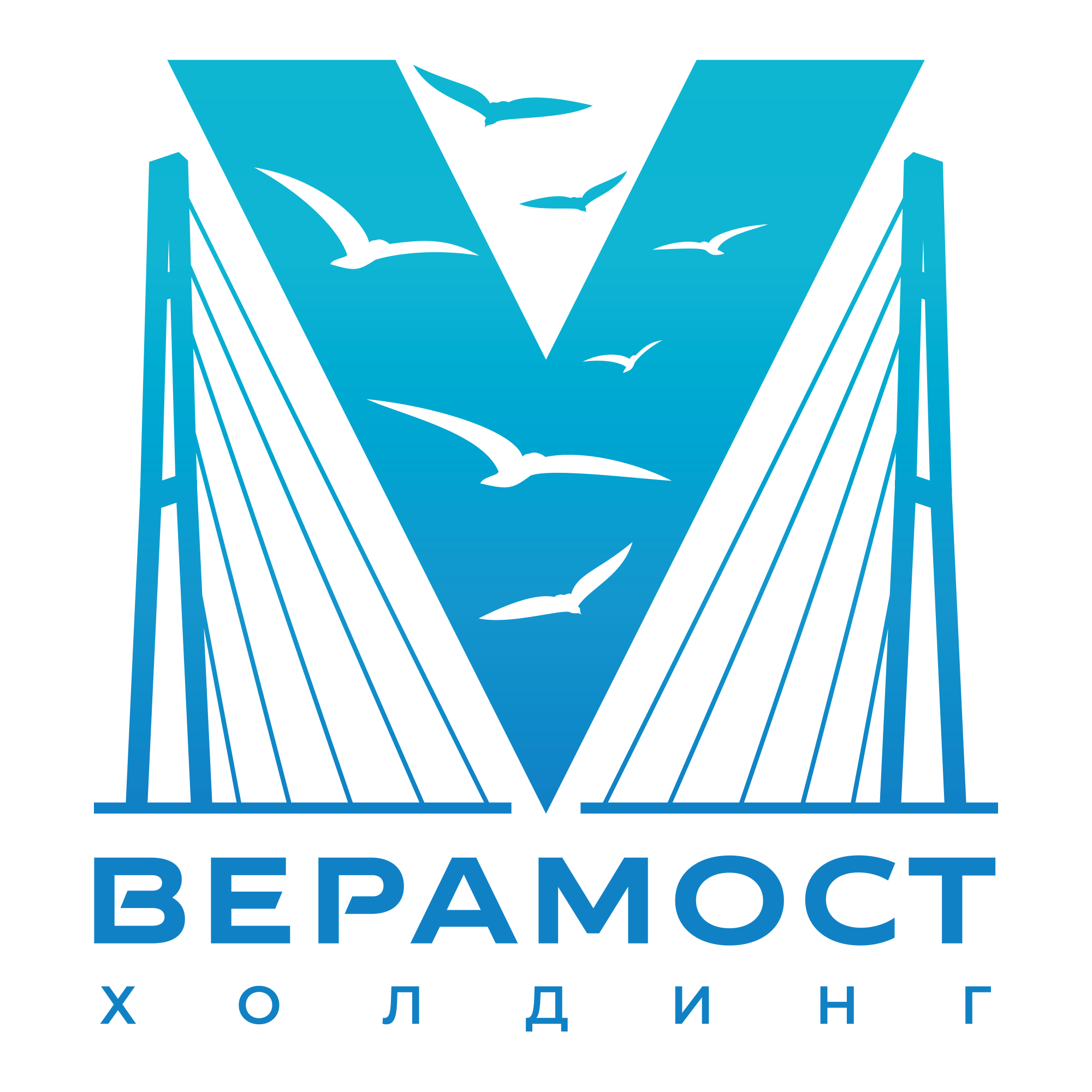 Верамост Холдинг