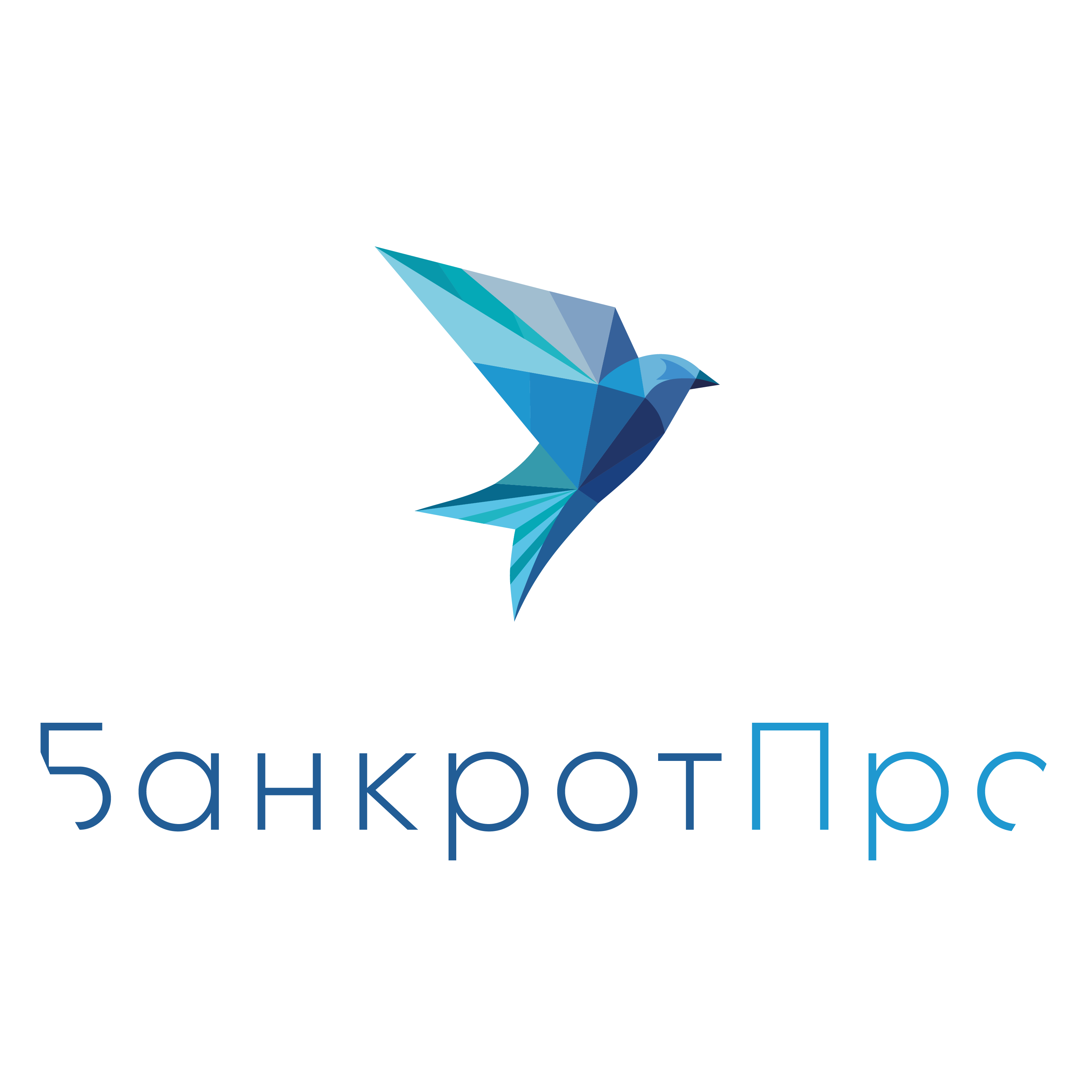 Банкрот Про