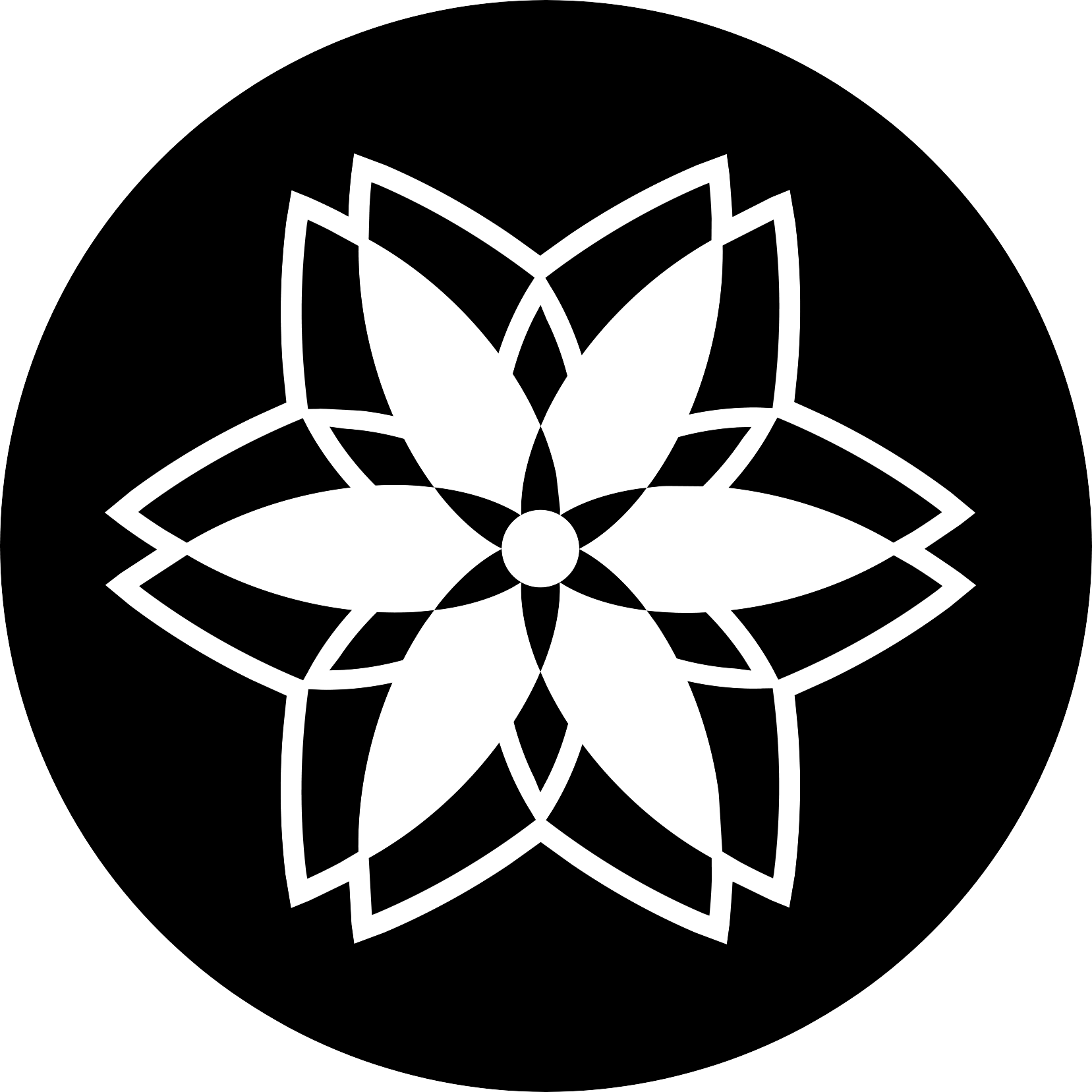 Fractalla Design, Студия
