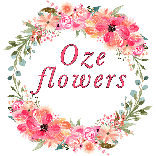 Цветочный магазин Oze flowers