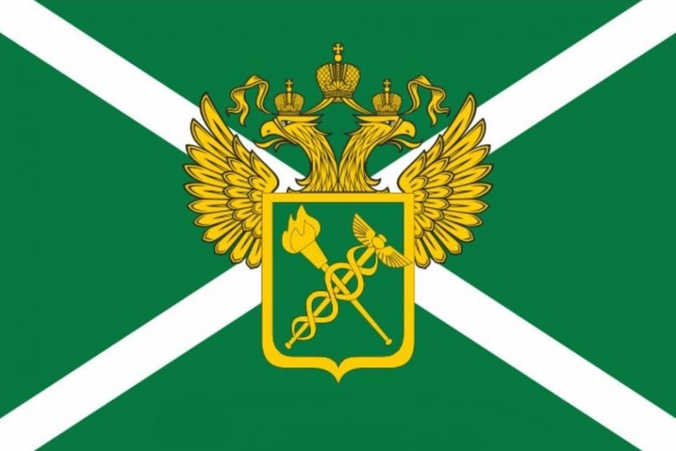 Центральная Электронная Таможня