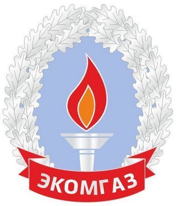 Экомгаз