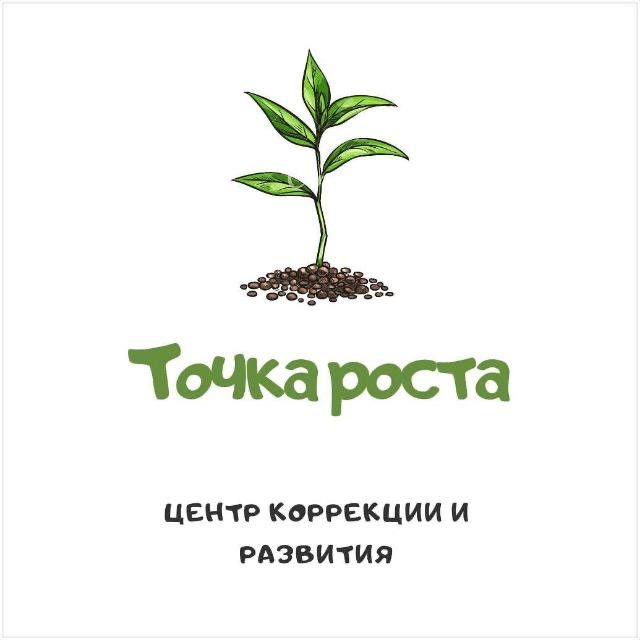 Точка роста