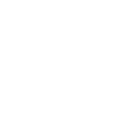 ЛОТЕС