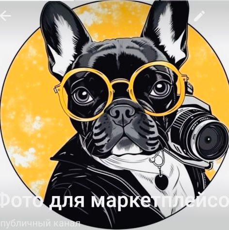 Моцарт, предметная фотостудия
