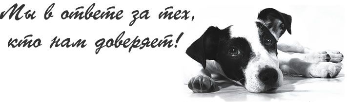 Ветеринарная практика