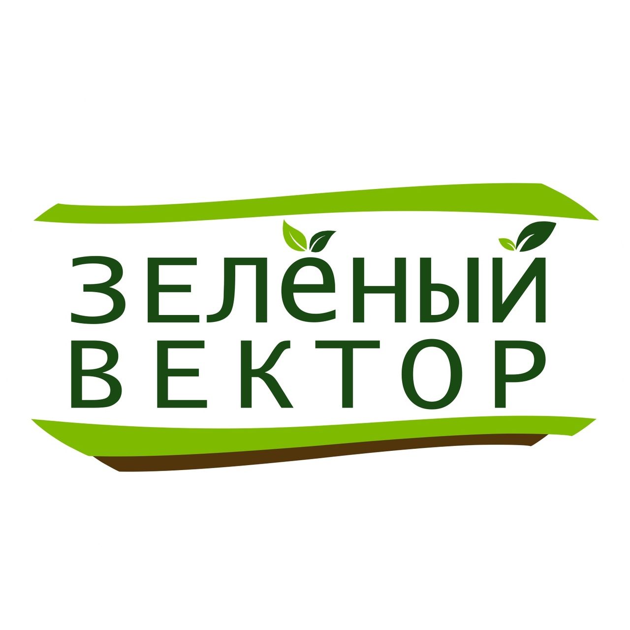 Зелёный Вектор