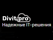 Divit.pro