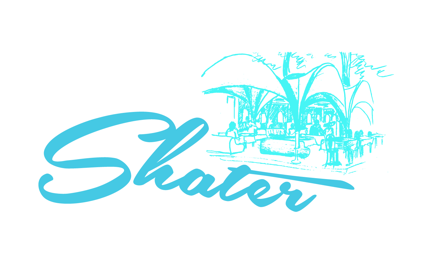 SHATER RESTAURANT GAGRA