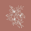 MonoDecor