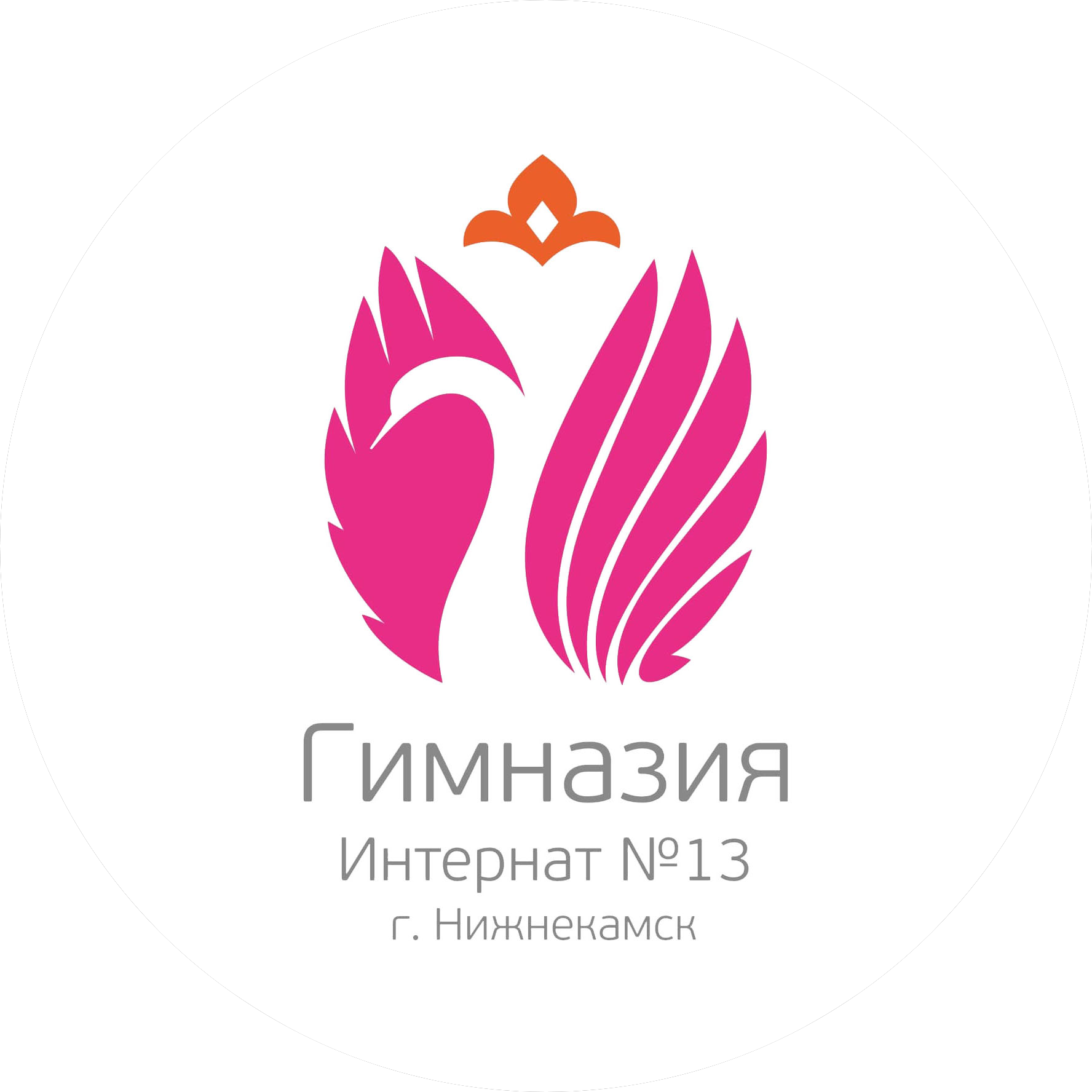 МБОУ Гимназия-Интернат №13 НМР РТ