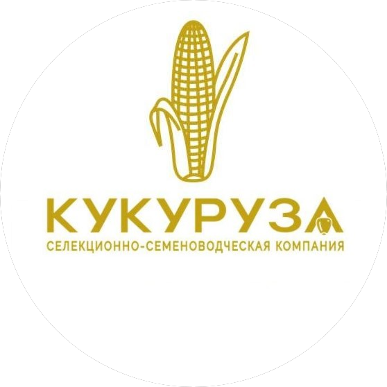 Совместное предприятие Селекционно-семеноводческая компания Кукуруза