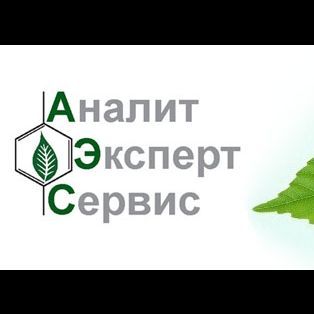АналитЭкспертСервис
