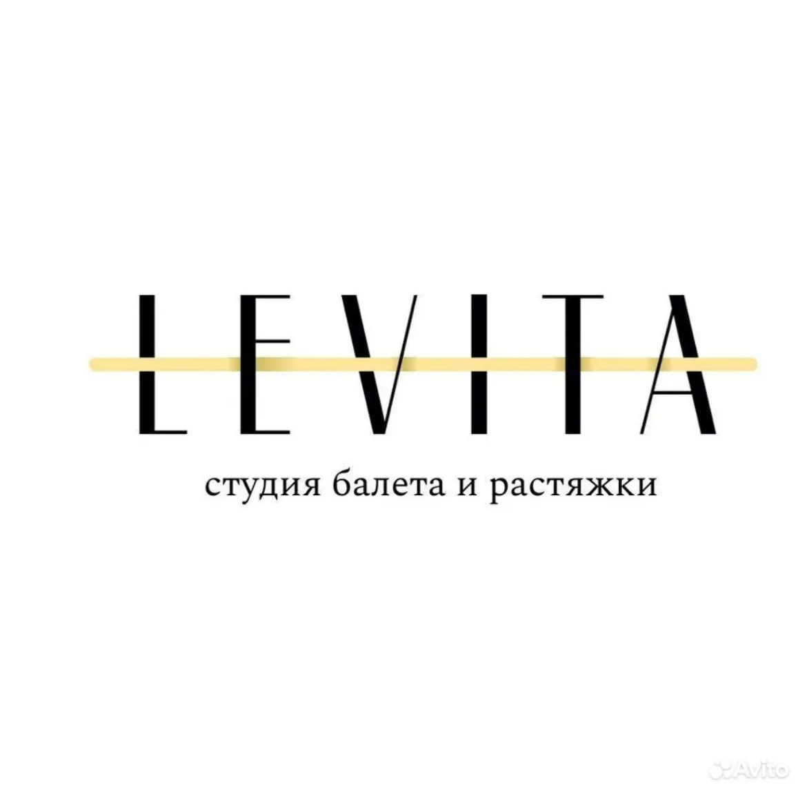 Студия балета и растяжки Levita (ИП Шалыминова Александра Андреевна)