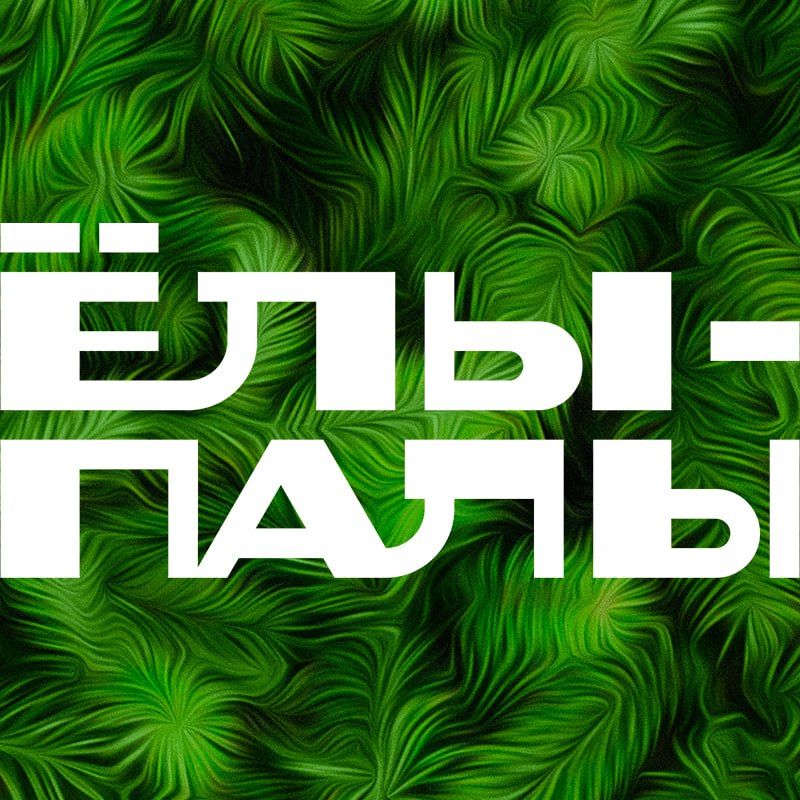 Ёлы-палы