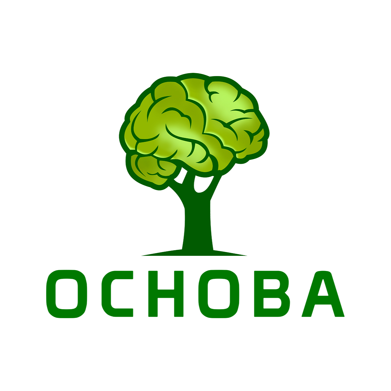 Частный центр Нейропсихологии, Логопедии и Развития Основа