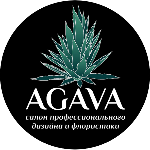 Агава