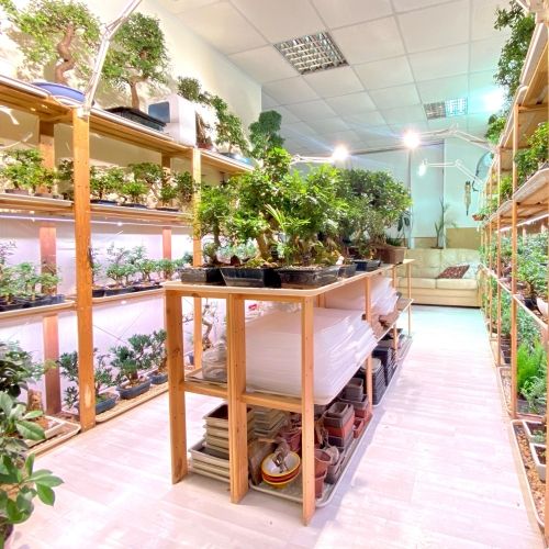 Fitosystems