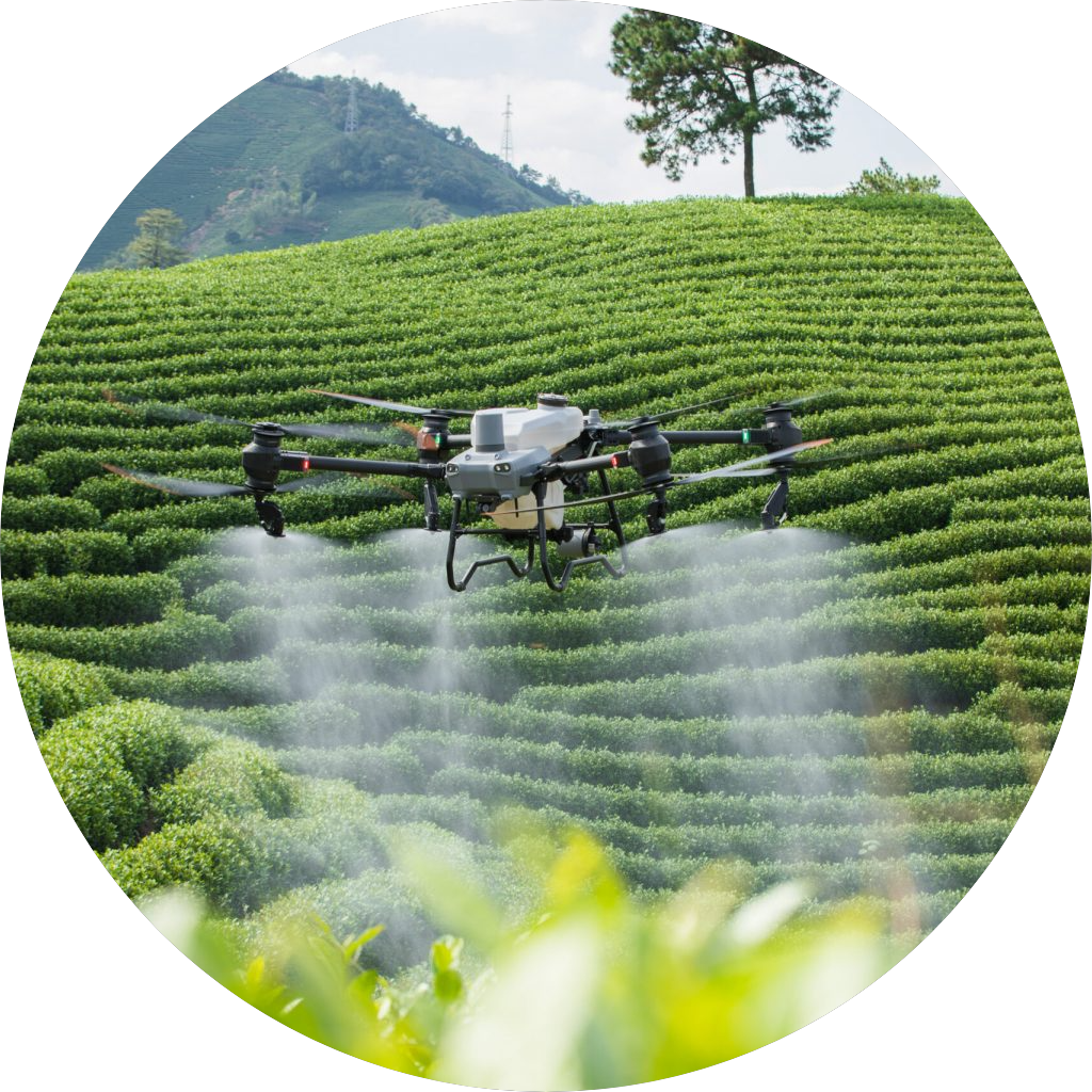 Avia Solution