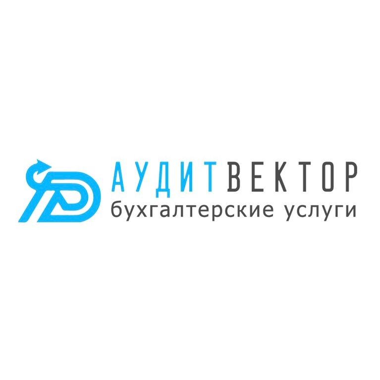Аудит Вектор