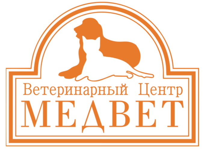 Квина