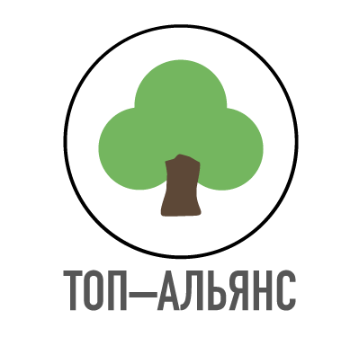 ТОП-АЛЬЯНС