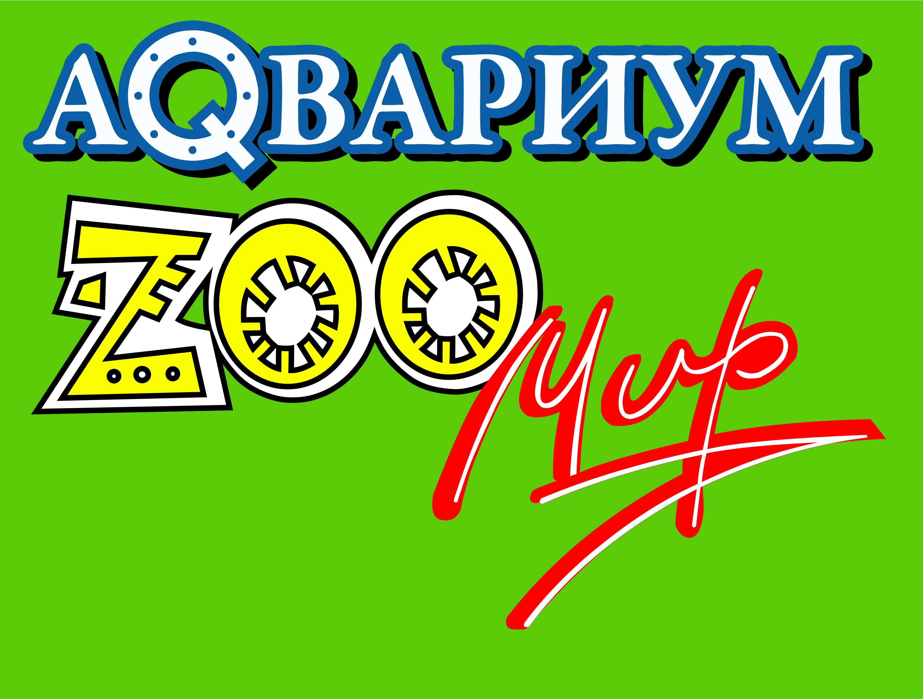 Чинейкин Д.Ю.