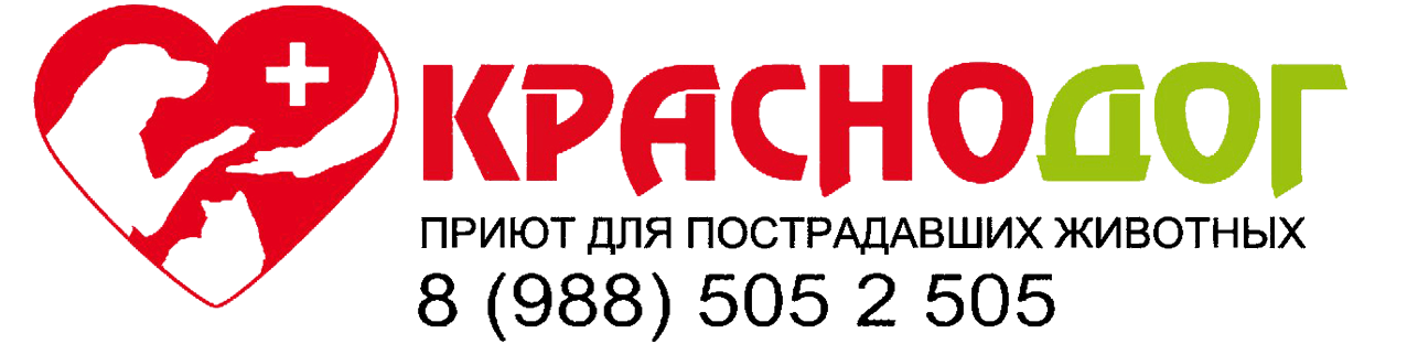 Приют для пострадавших животных Краснодог