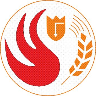 ОКБ по теплогенераторам