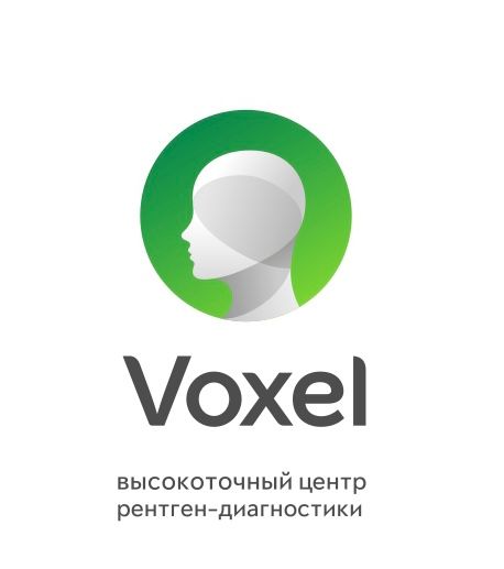 Voxel (ООО Аксиома-31)