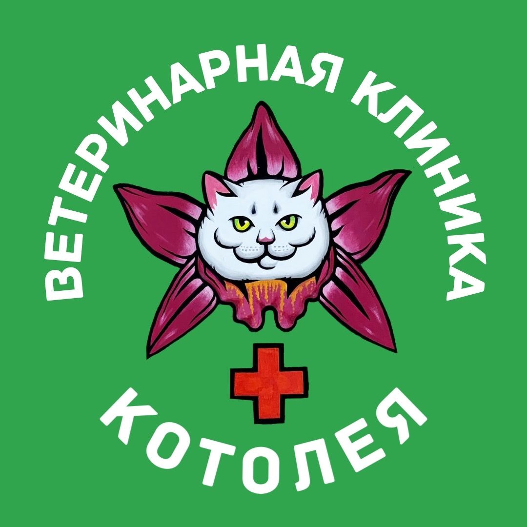 Ветеринарная Клиника Котолея