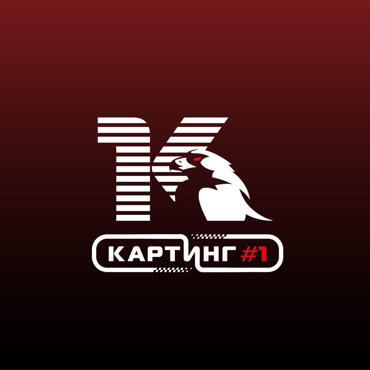 Картинг #1