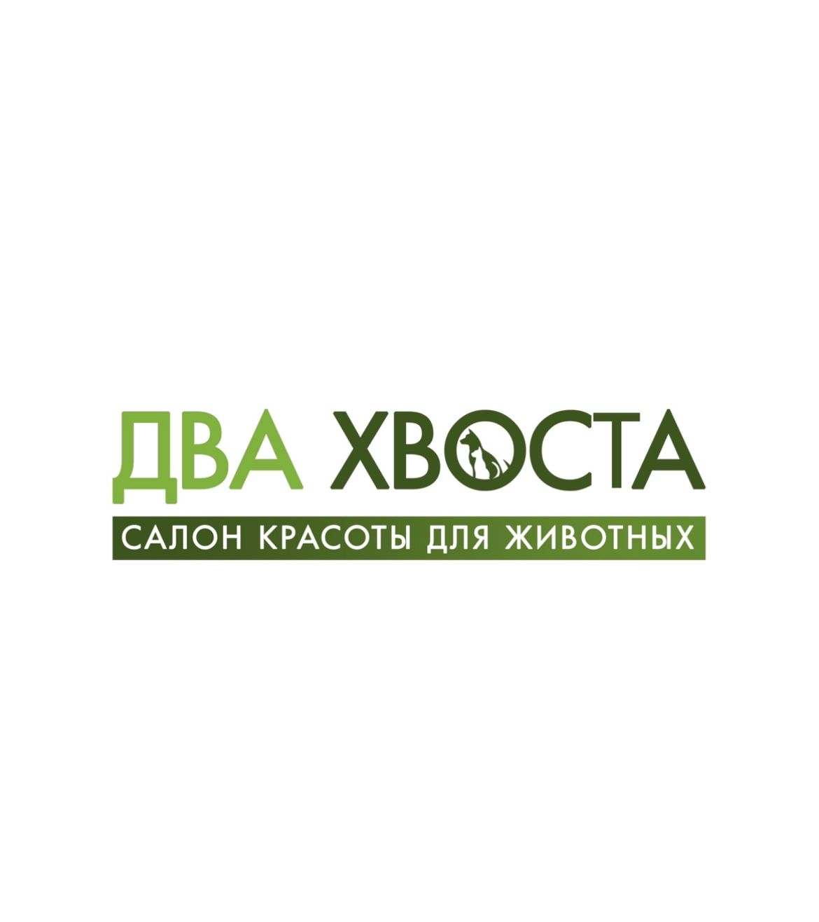 Кочергина Екатерина Александровна