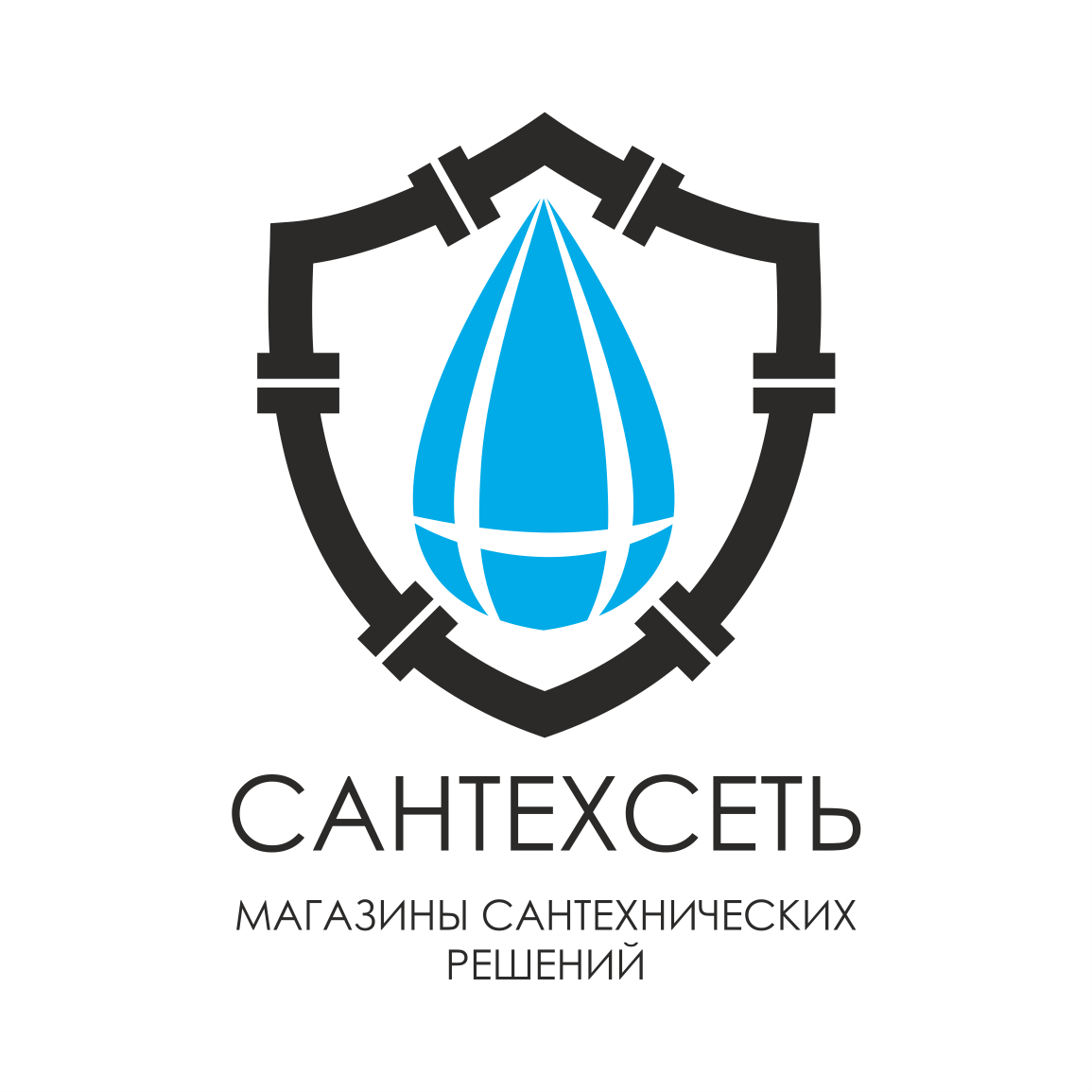 Стяжкин Дмитрий Сергеевич
