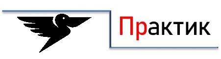 Практик